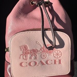 Coach Jes Burgundy Bucket Bag